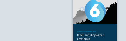 Titelbild mit Berglandschaft "Jetzt auf Shopware 6 umsteigen"