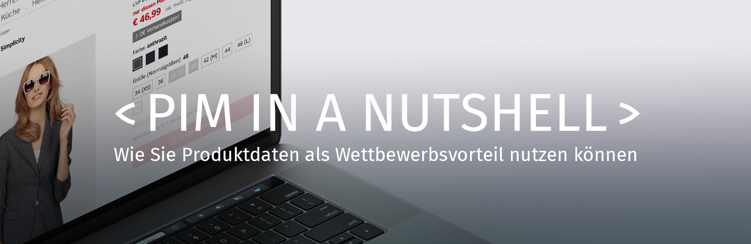 Online-Session | PIM in a Nutshell | hmmh Online-Session | PIM in a Nutshell | hmmh
